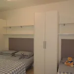 Villaggio Tulipano